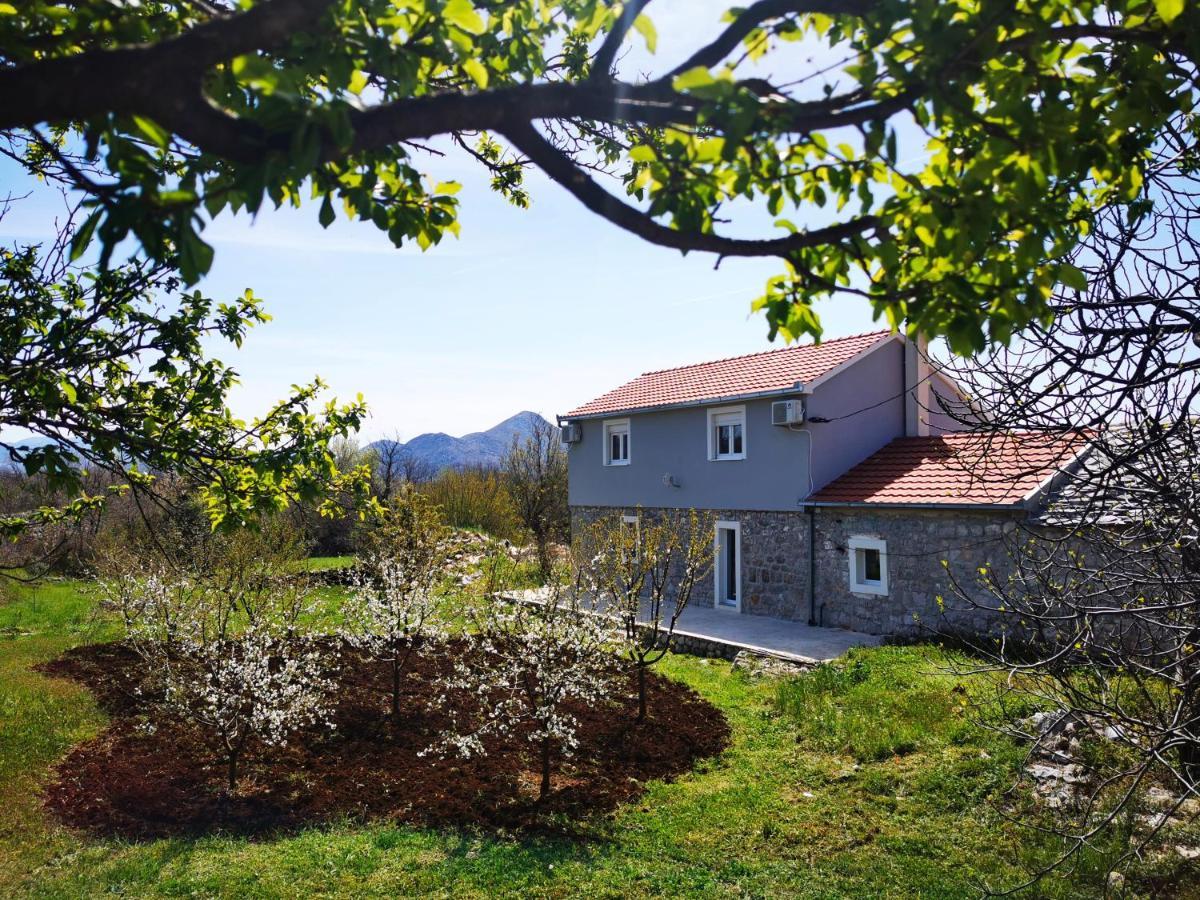 טרביניה Apartmani Matej מראה חיצוני תמונה